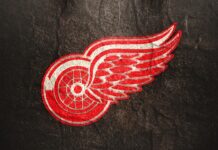 The Detroit Red Wings are a professional ice hockey team.