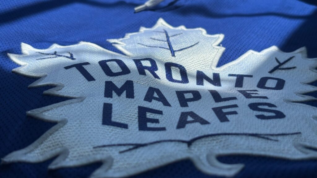 Blue and white Toronto Maple Leafs jersey with a closeup of their logo.