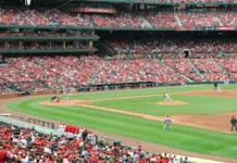 Why Baseball Scouting Is Still Part Art, Part Science Baseball at Busch stadium with pitcher Chris Carpenter.
