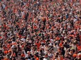 fan cheer in celebration of on field action