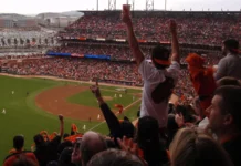 How Baseball Has Influenced American Language and Slang Giants fans throughout the ballpark cheer as they raise hands
