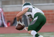 Why Weather-Adapted Game Plans Give Teams an Edge in NFL Football player on field.