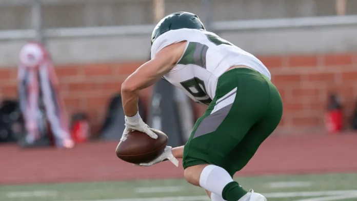 NFL, football, great action photos of football players making amazing plays during Football player on field.