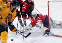 Why Forechecking Systems Define Entire Eras of the NHL A hockey match going on.