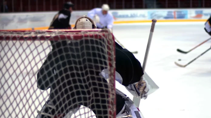 Back view of a hockey goalie.