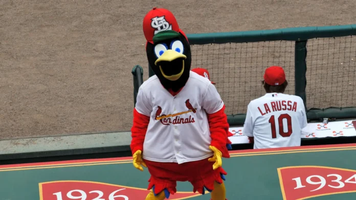 fredbird the mascot of the saint louis cardinals