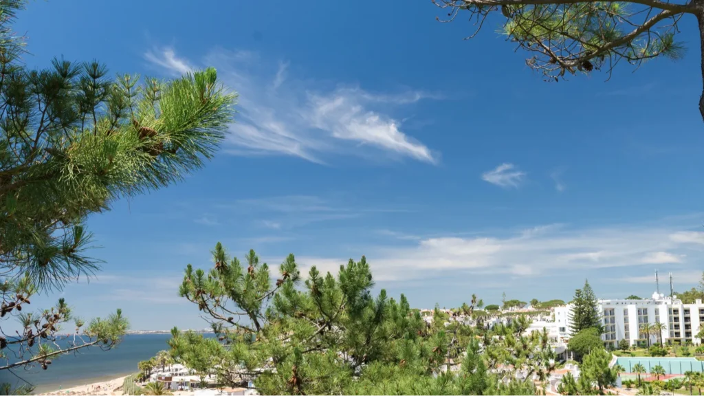 houses and buildings in wolf valley vale do lobo algarve