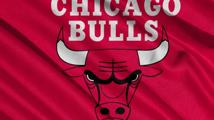 pringsewu lampung may 23 2025 texture of the chicago bulls pringsewu lampung may 23 2025 texture of the chicago bulls