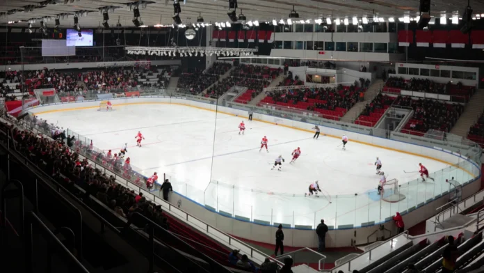 view on stadium with hockey players