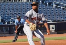 Spring debut signals strong start for Valdez’s Tigers career in Detroit Framber Valdez in action during a baseball match.