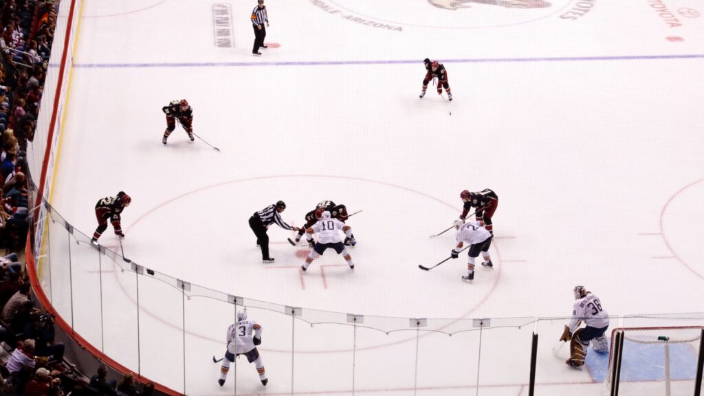 NHL hockey game featuring the Phoenix Coyotes and Edmonton Oilers of the National Hockey League.