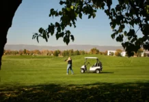 What caused the ‘mad’ delays frustrating McIlroy and Lowry? A golfer taking a swing