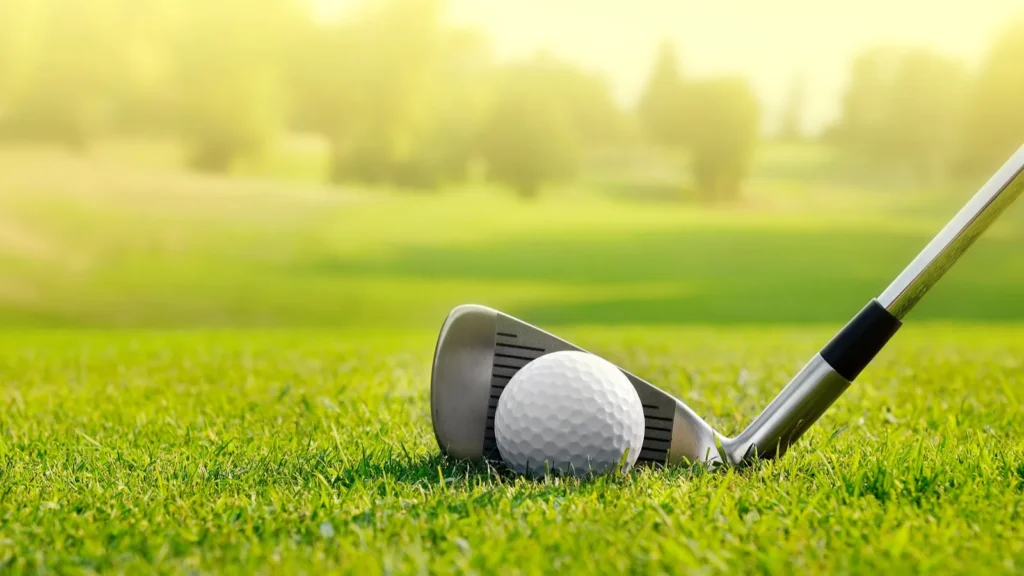 A golf club positioned next to a golf ball on a lush green golf course.