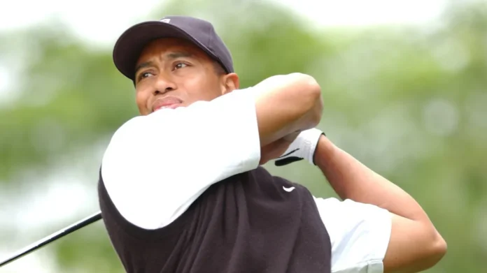 tiger woods winner at the us open in 2002 is