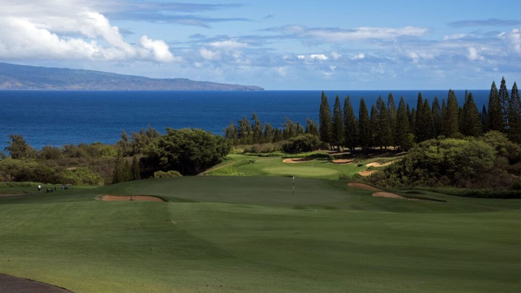 Hawaii golf course with Pacific Ocean view and pine trees.
