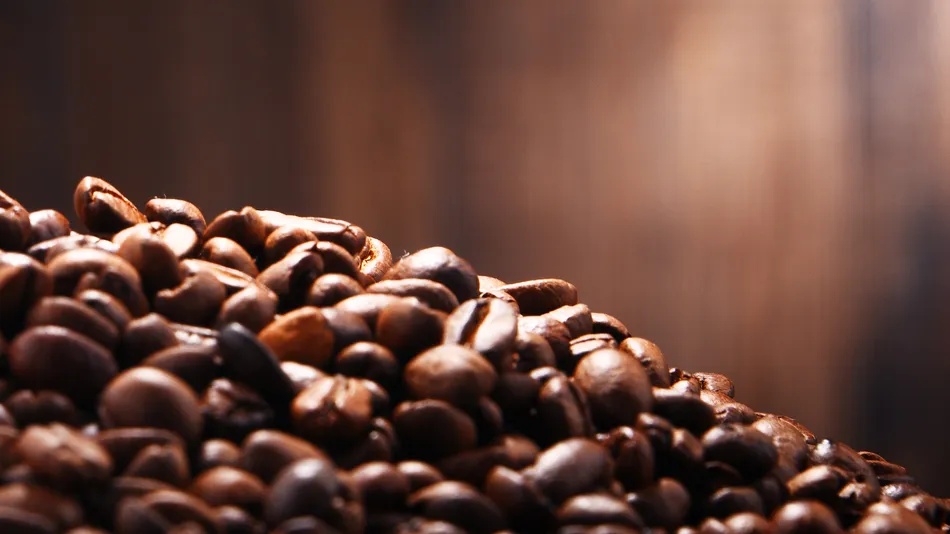 Composition with paper cup of Illy coffee and beans