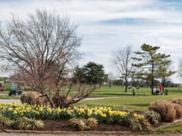 East Potomac Golf Course