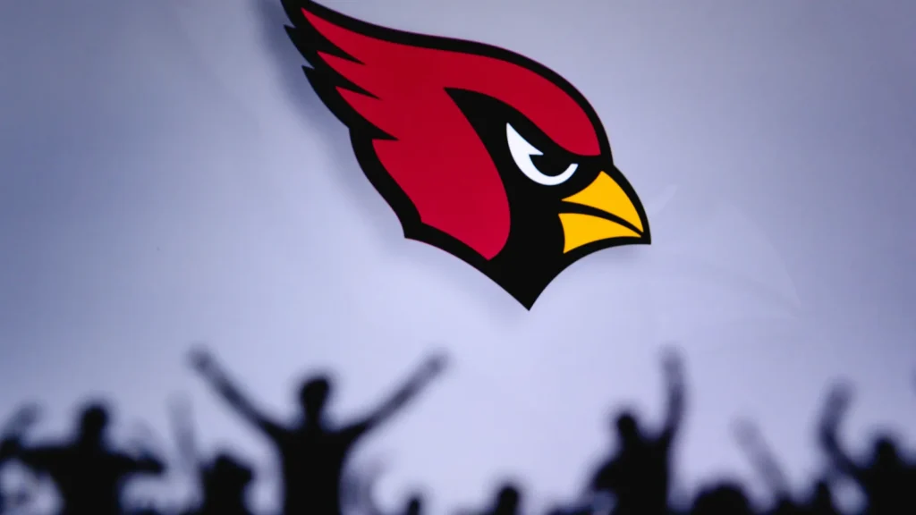 Arizona Cardinals Fans support their team