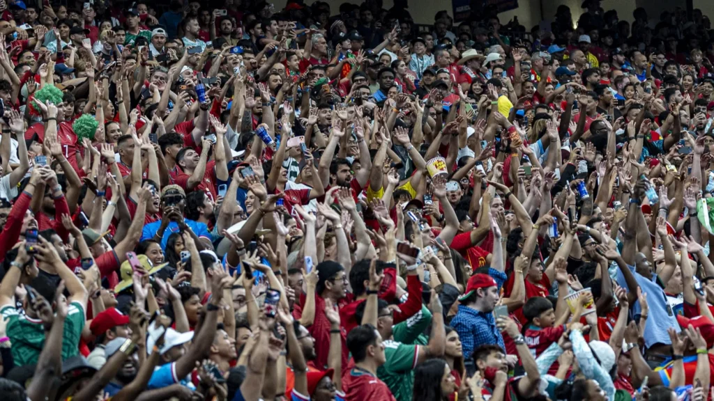 Fans at a match, supporting their team