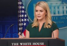 White House UFC event puts Karoline Leavitt back in the spotlight White House Press Secretary Karoline Leavitt at the press conference.