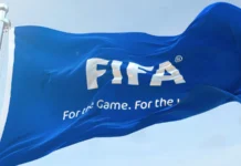 FIFA World Cup flag waving