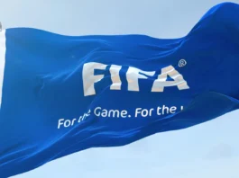 FIFA World Cup flag waving