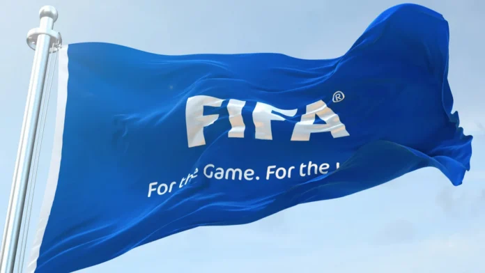 FIFA World Cup flag waving