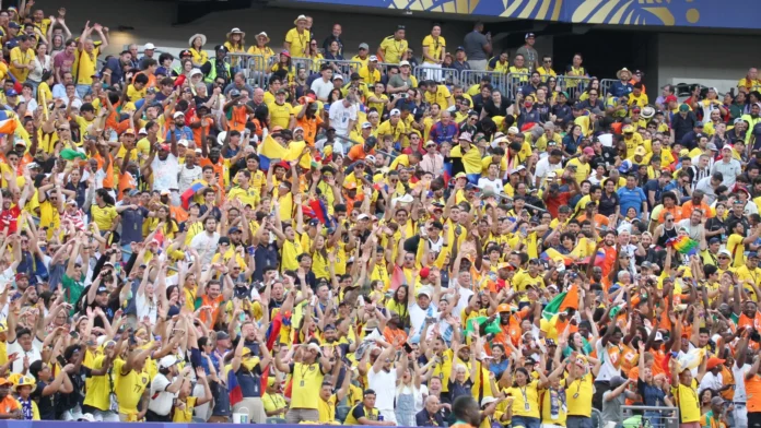 Fans during a soccer match