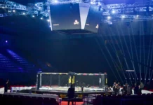 General view of the octagon