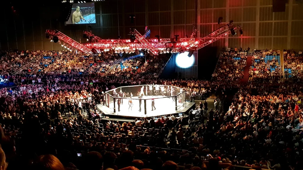 UFC fight night
