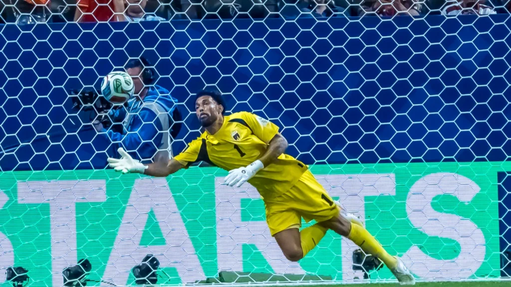 Vozinha in action