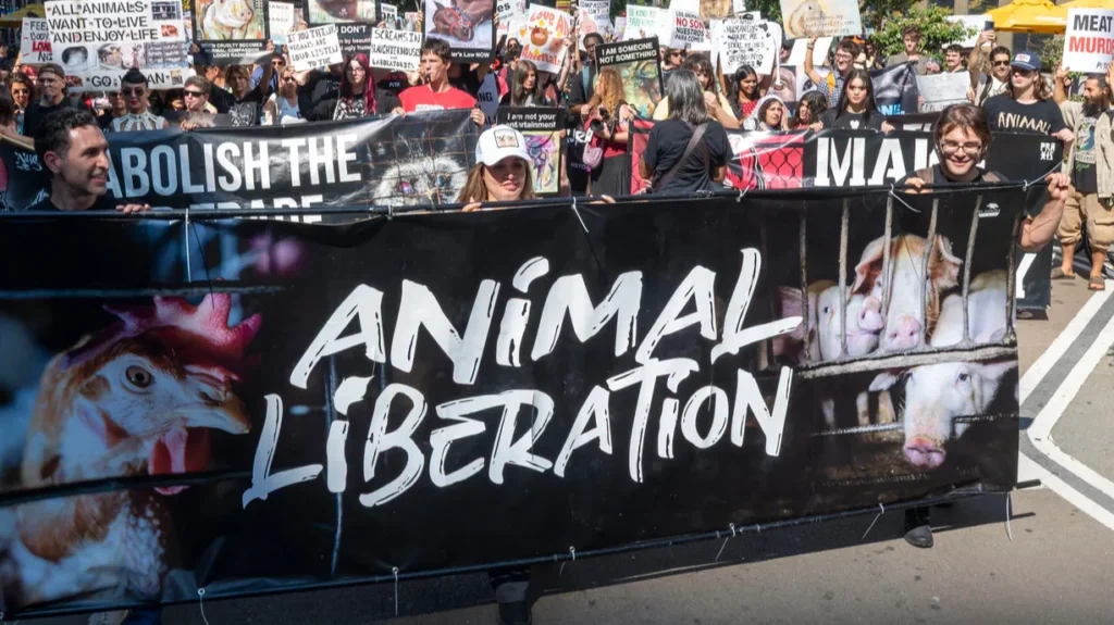 A rally on animal cruelty