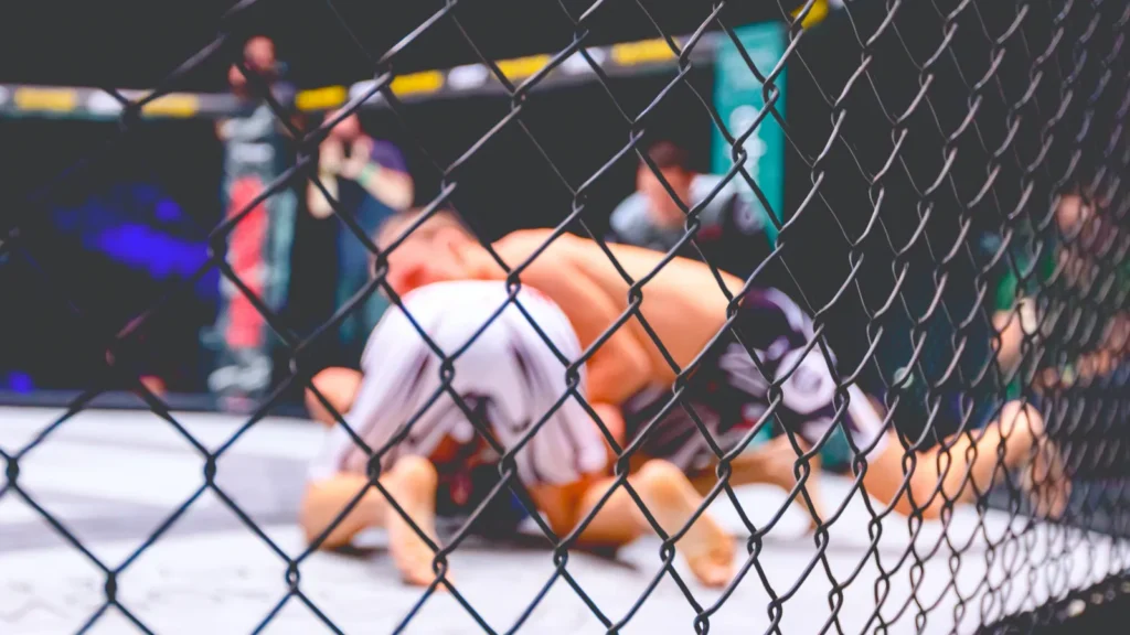 MMA fighters fighting