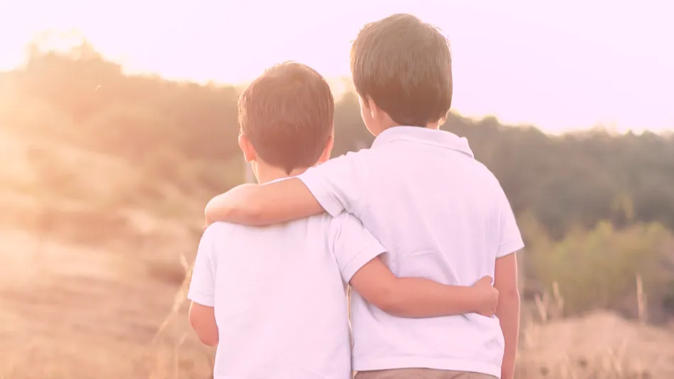 Brothers watching the sunset