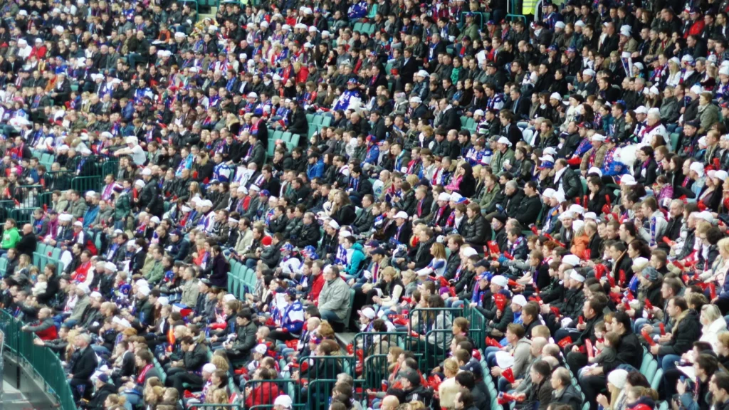 fans at the stadium