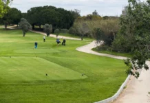 Aerial view of a green golf course