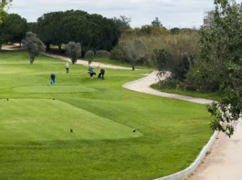 Aerial view of a green golf course