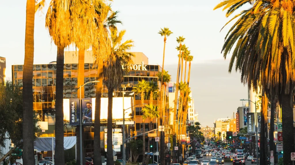 los angeles usa palms world famous sunset boulevard at