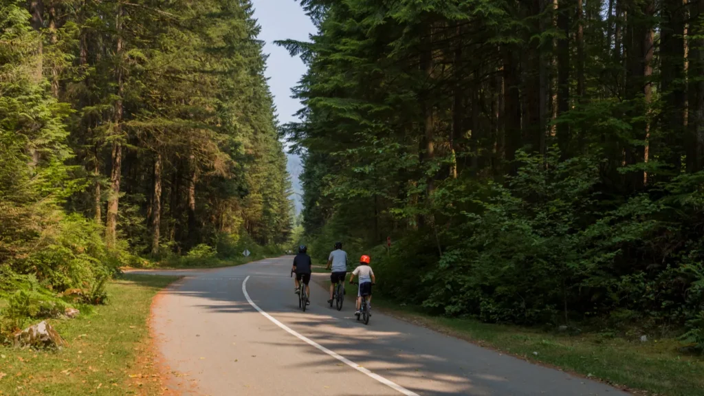 Cyclists riding together on a tree-lined road